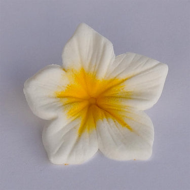 Colours Dust Amarelo 7 ml - JustAddLove